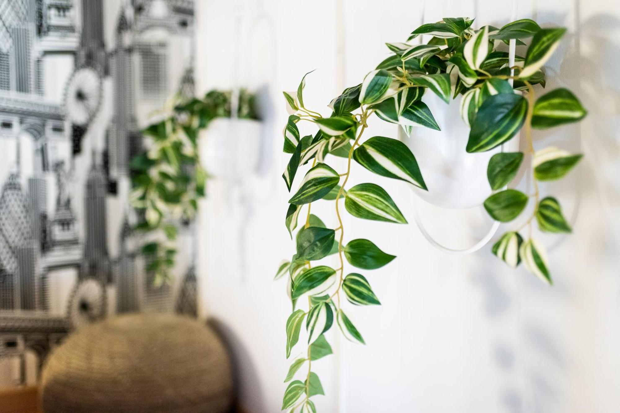 Apartamento Con Encanto, Centro Granada Buitenkant foto