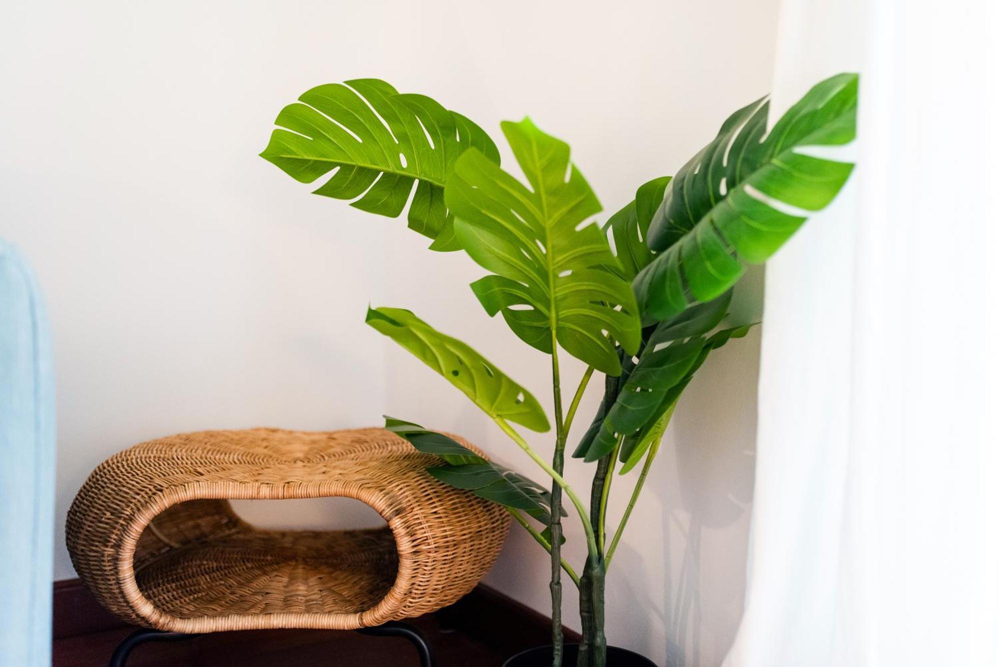 Apartamento Con Encanto, Centro Granada Buitenkant foto